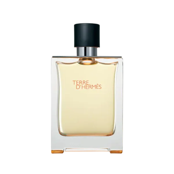 TERRE D HERMES LIMITED EDITION EDT HERMES 100ML WITHOUT BOX BATCH CODE BAAN