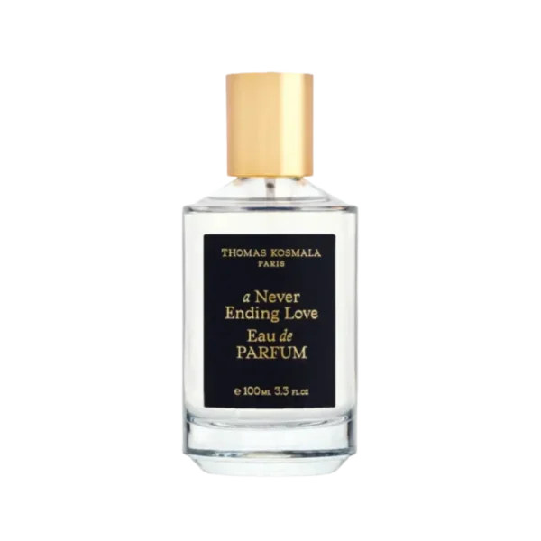 A NEVER ENDING LOVE	EDP THOMAS KOSMALA 100ML WITHOUT BOX